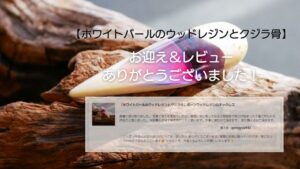 お客様の喜びの声【ホワイトバールのウッドレジンとクジラ骨】